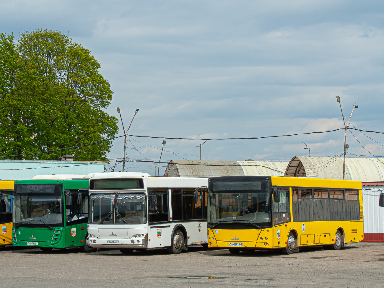 Baranovichi, MAZ-226.086 # 22000