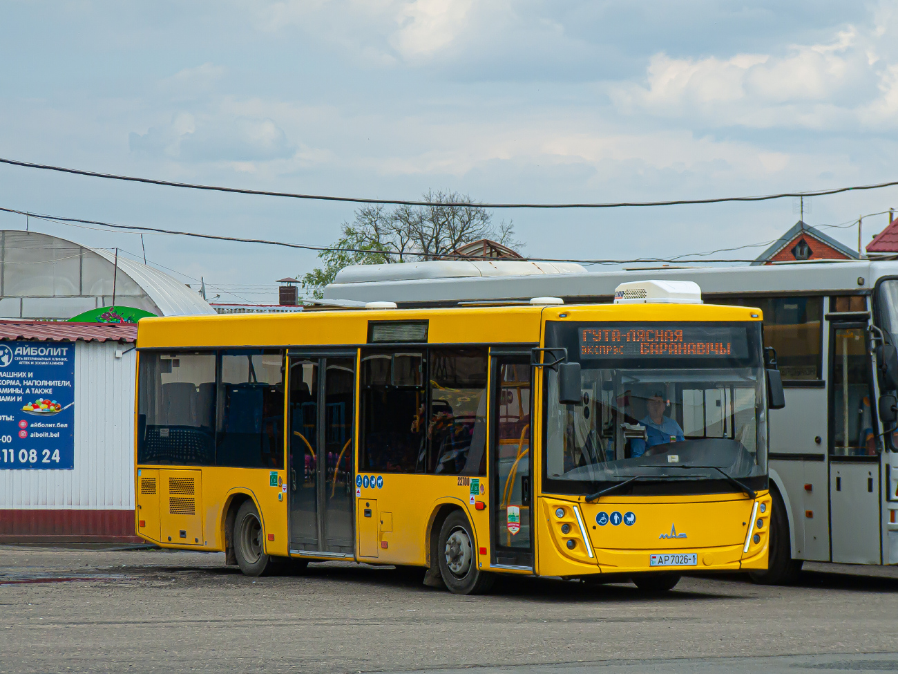 Baranovichi, MAZ-206.047 # 22700