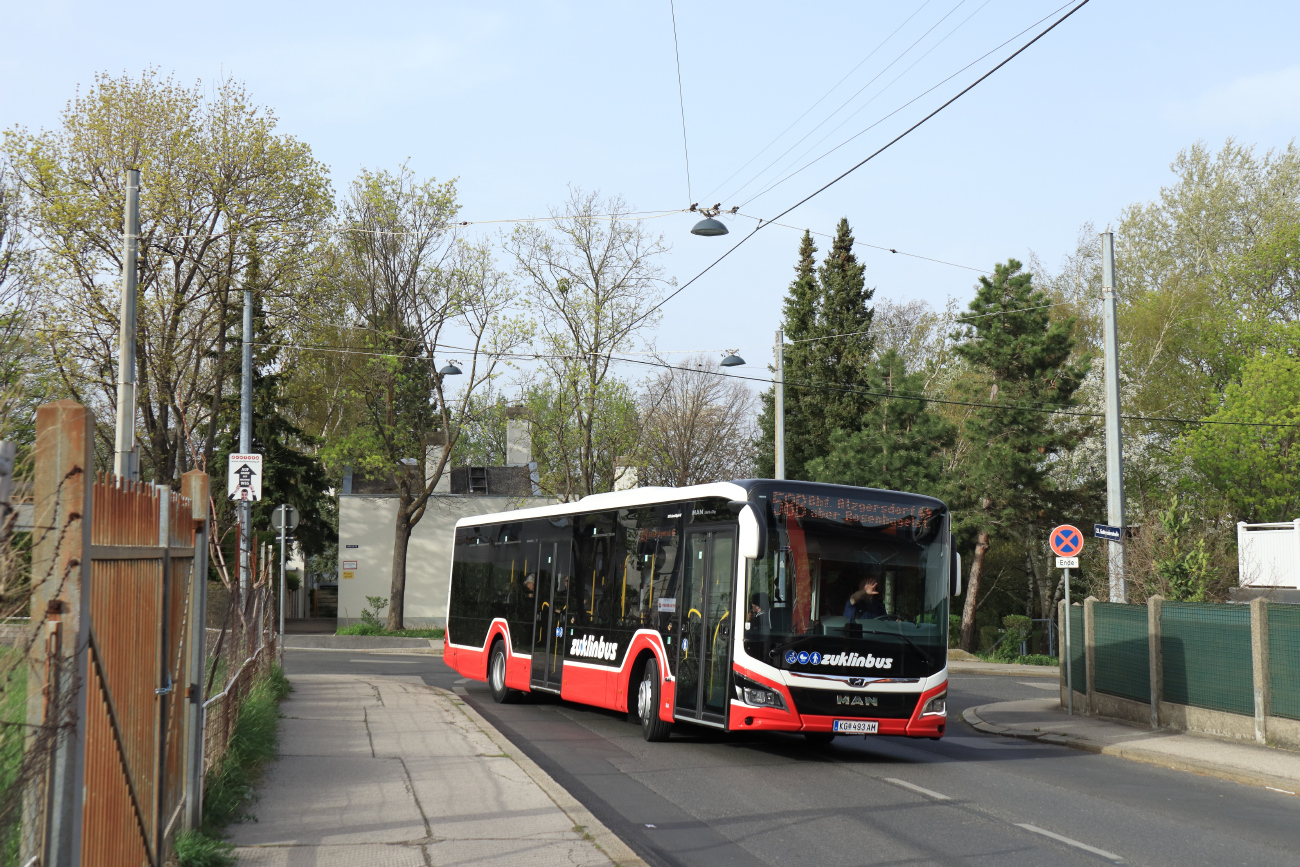 Tulln, MAN 12C Lion's City NL280 EfficientHybrid # 493