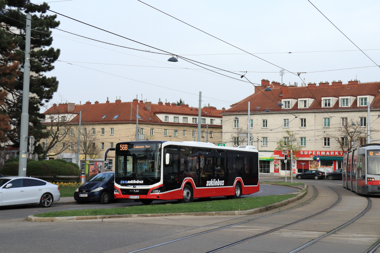 Klosterneuburg, MAN 12C Lion's City NL280 EfficientHybrid # 501