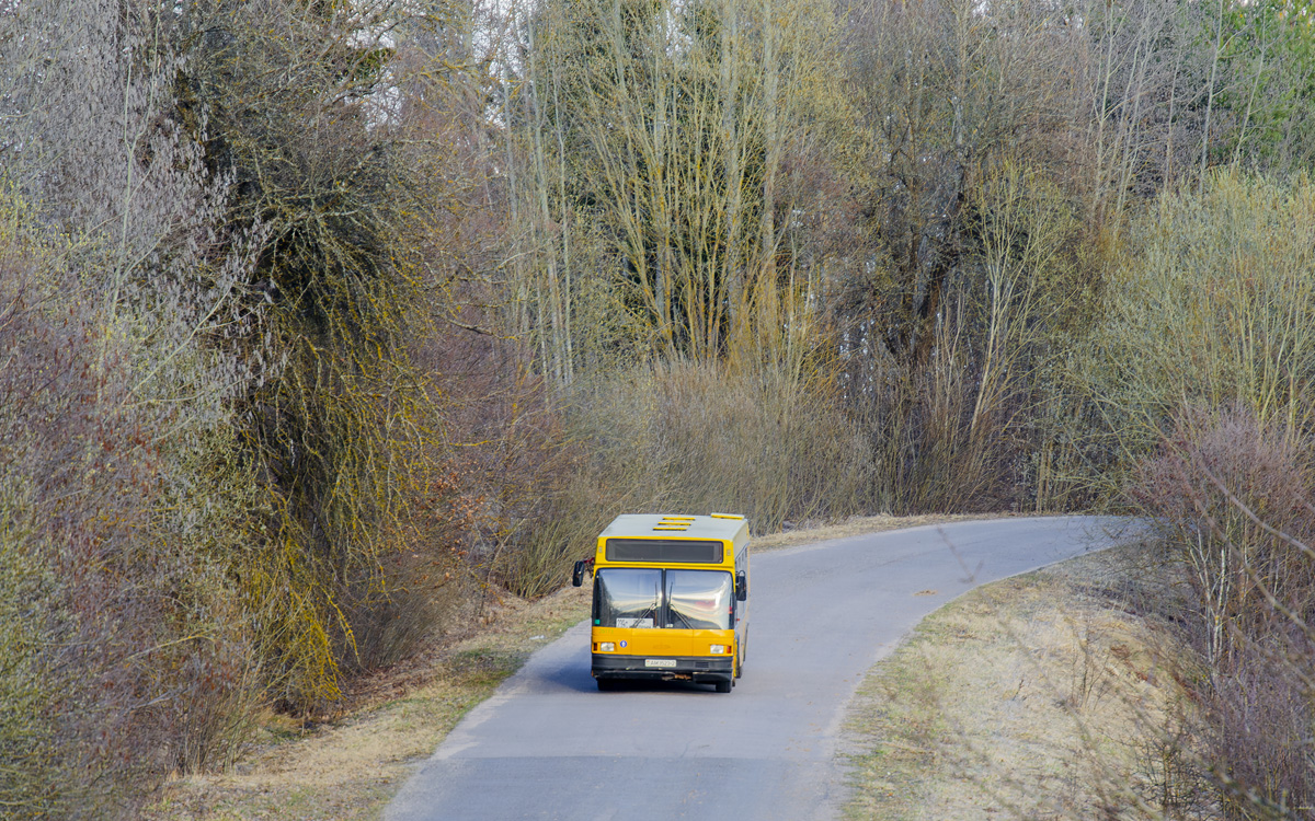 Polotsk — Miscellaneous photos