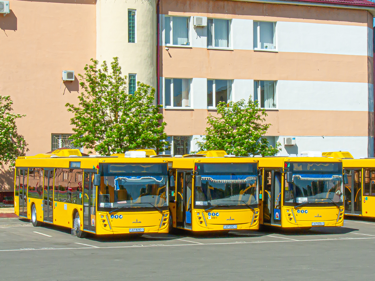 Pinsk, MAZ-203.047 # 41913