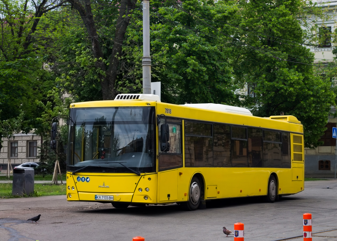 Kyiv, MAZ-203.015 # 7818