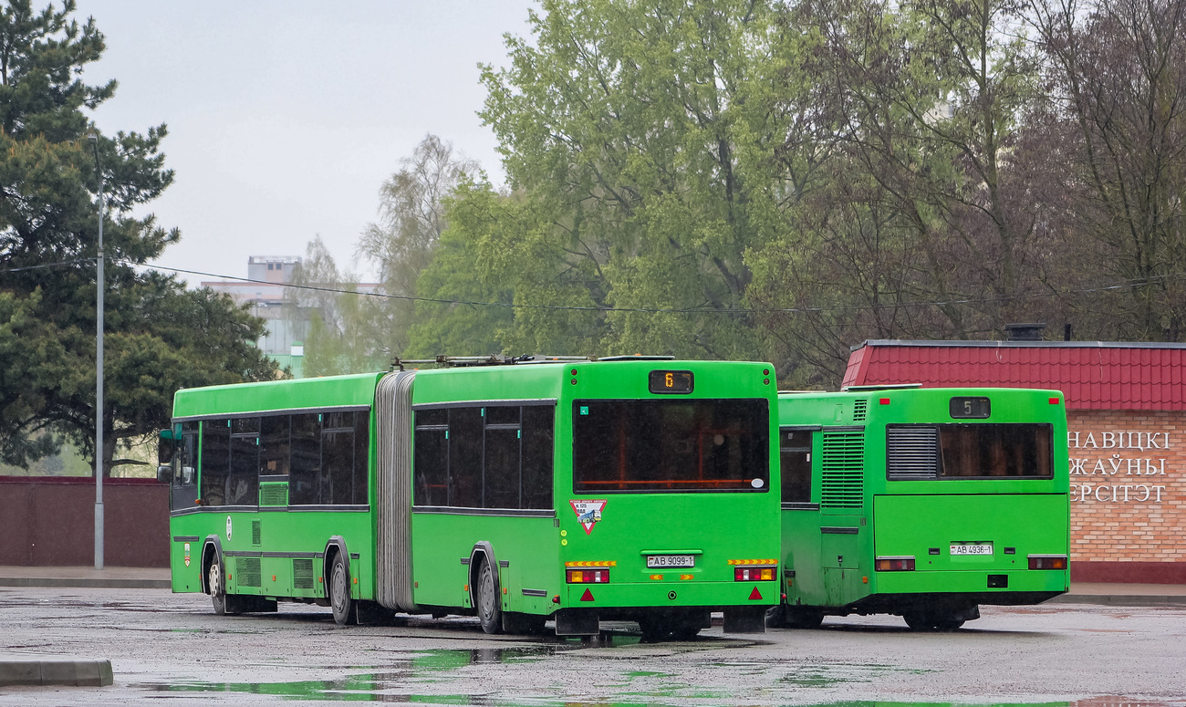 Baranovichi, MAZ-105.465 # 11700; Baranovichi, MAZ-103.065 # 11610