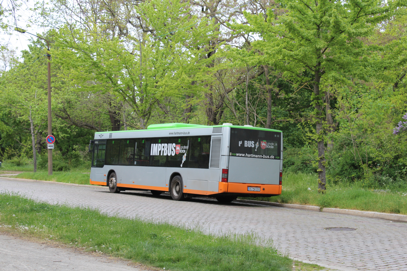 Oschersleben (Bode), MAN A37 NL283 # OC-MW 2202