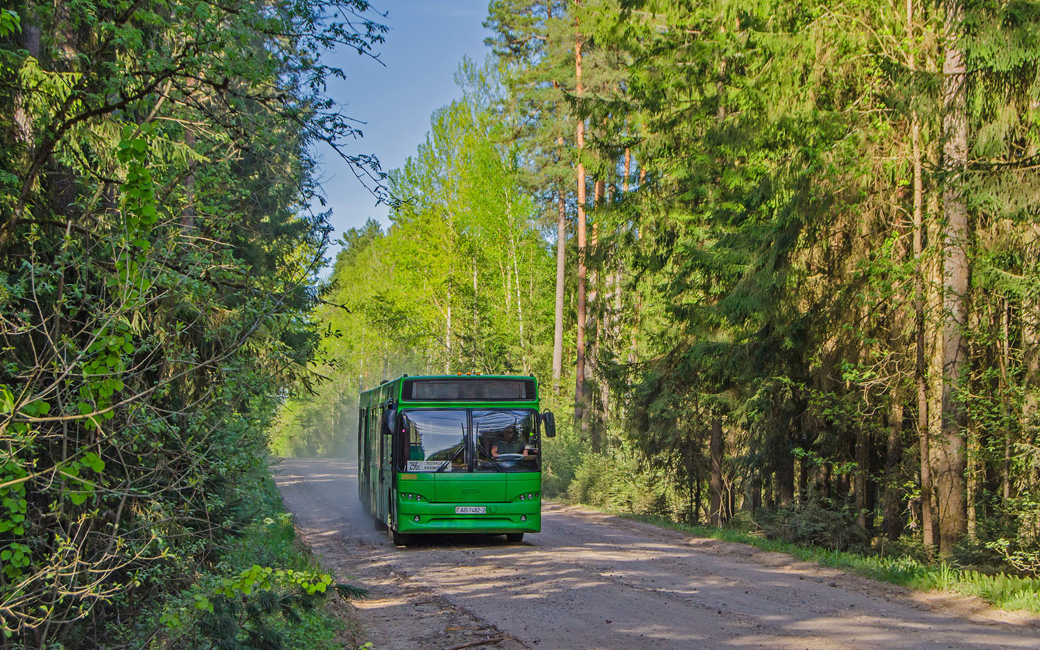 Polotsk, МАЗ-105.465 # 029955