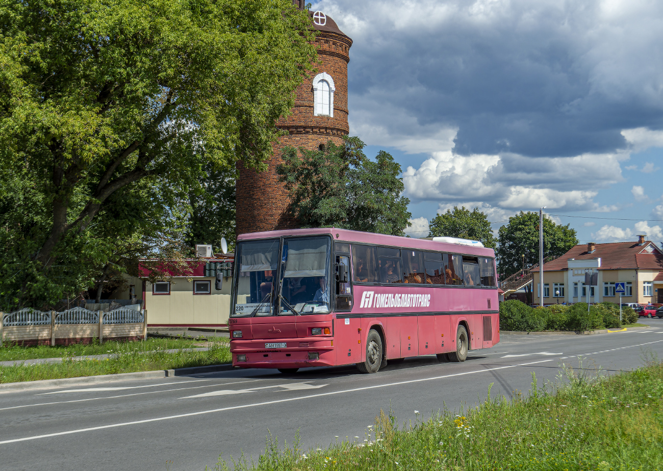 Svetlogorsk, MAZ-152.062 # 2769
