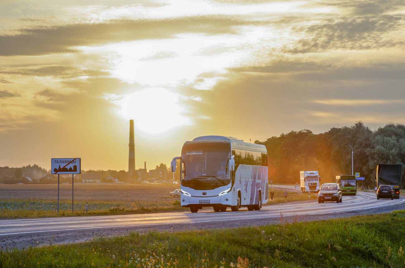 Gomel, Yutong C12PRO (ZK6128H) # 016251; Gomel, MAZ-105.065 # 25623