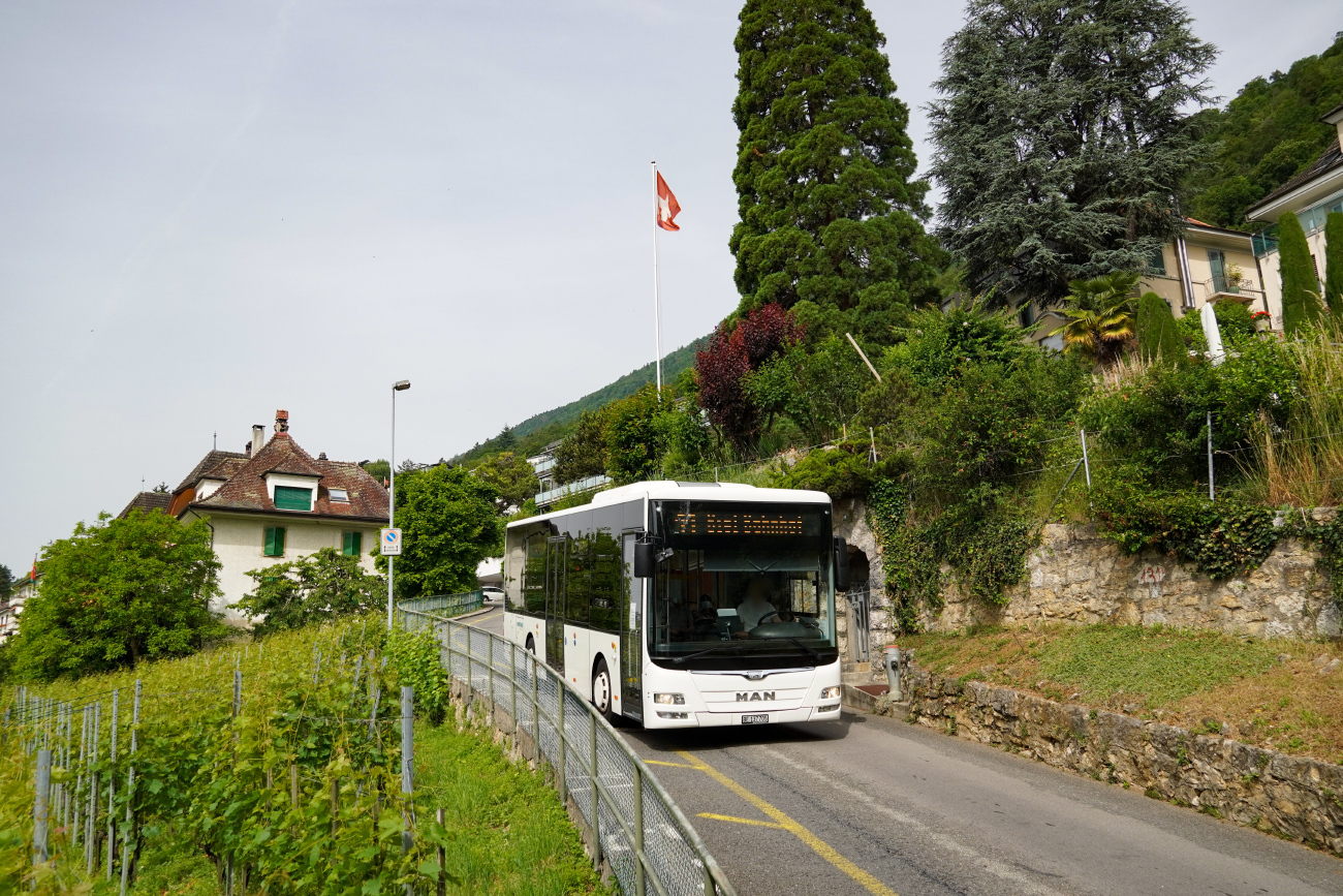 Biel, Caetano Lion's City Midi # 5