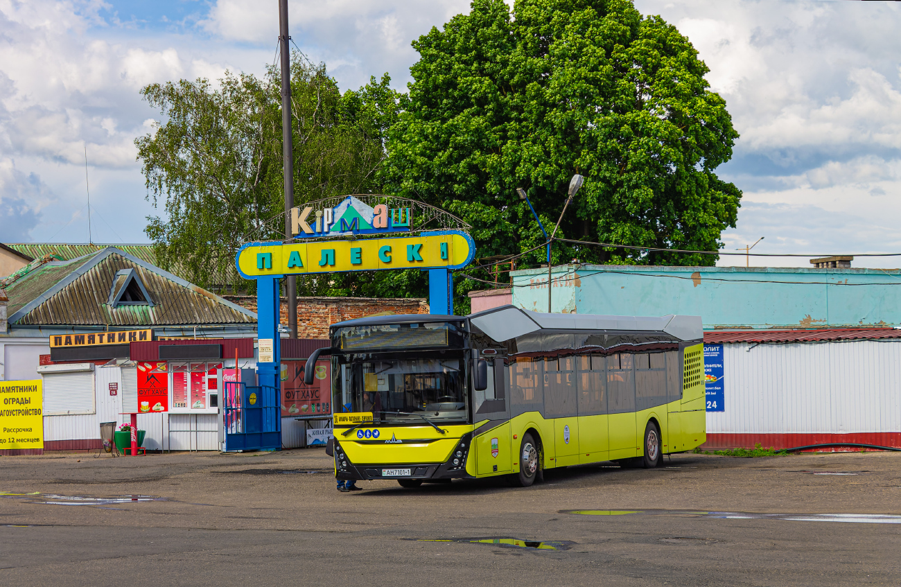 Baranovichi, MAZ-303.065 # 10250