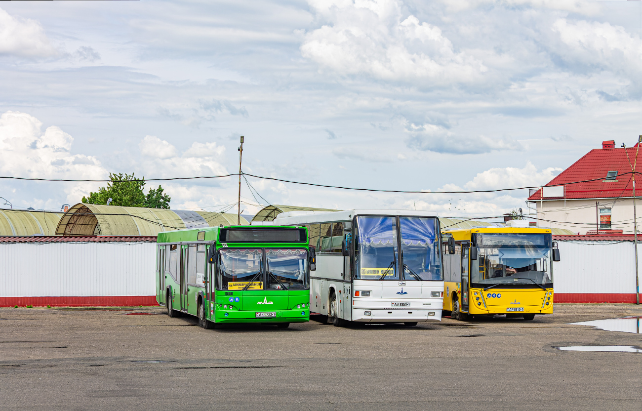 Baranovichi, MAZ-103.465 # 11680; Baranovichi, MAZ-152.А62 # 33120; Baranovichi, MAZ-206.047 # 22680