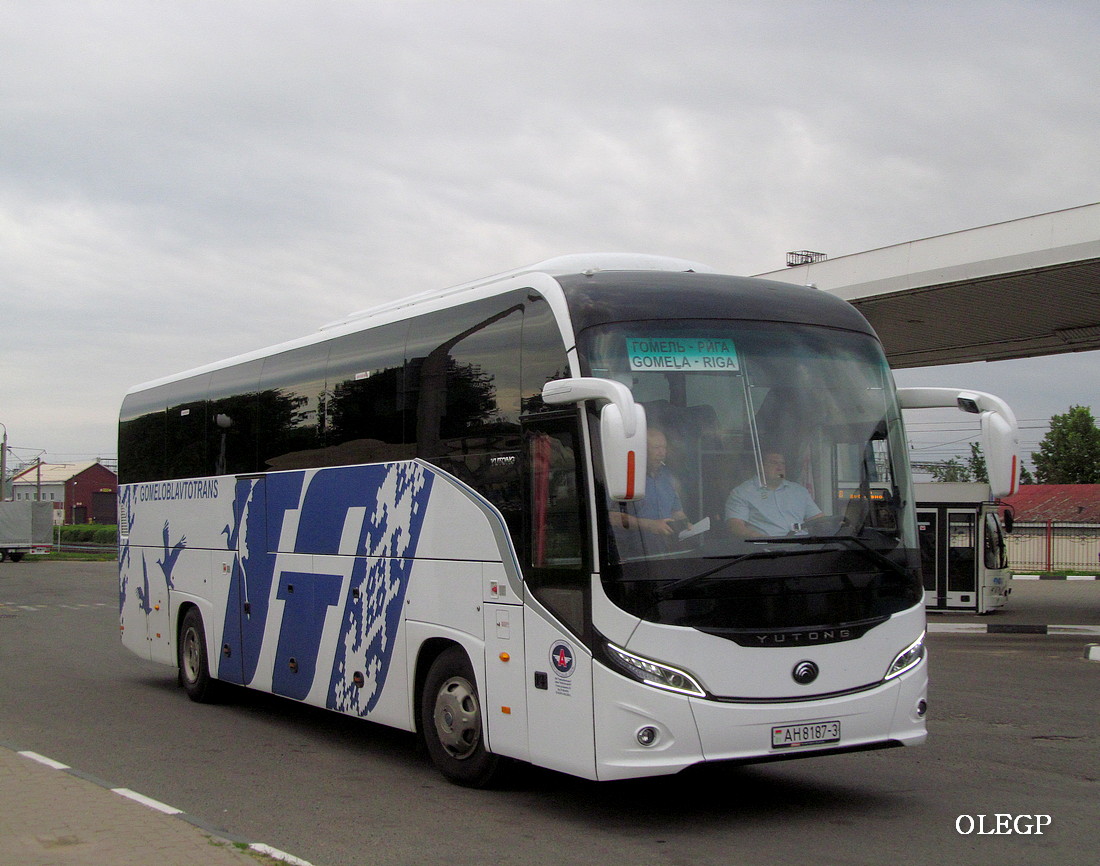 Gomel, Yutong C12PRO (ZK6128H) # 016251