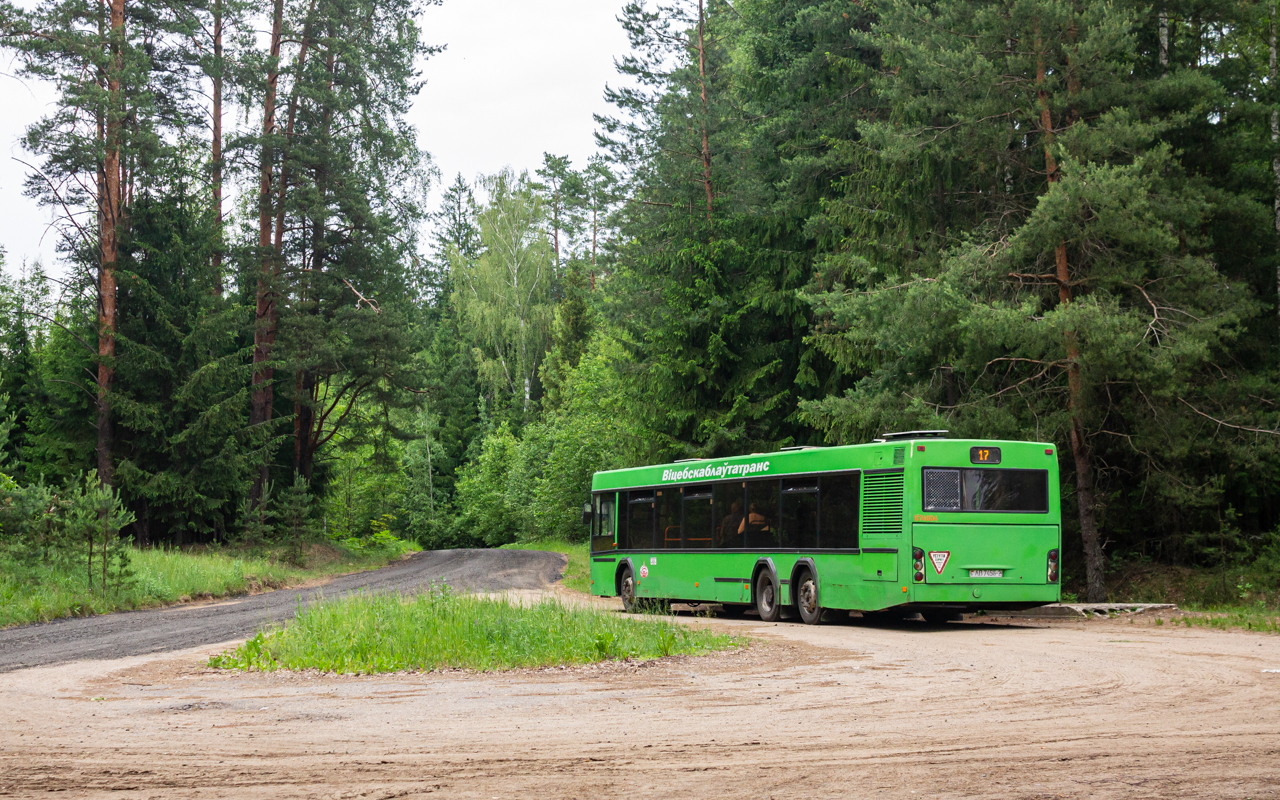 Novopolock, MAZ-107.466 # 074004; Novopolock — Miscellaneous photos