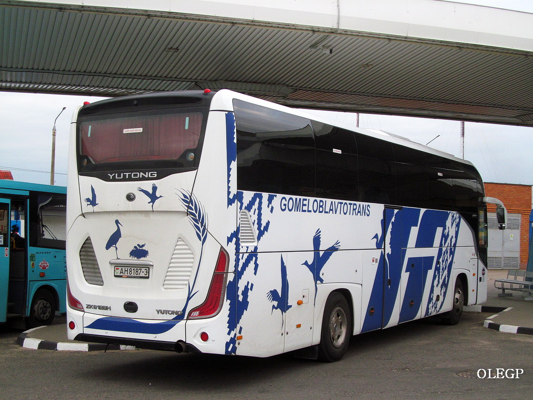 Gomel, Yutong C12PRO (ZK6128H) # 016251