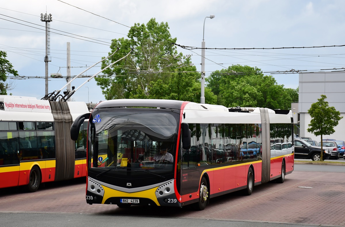 Hradec Králové, SOR NS 18 nr. 239