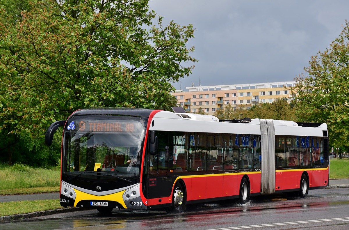 Hradec Králové, SOR NS 18 # 239
