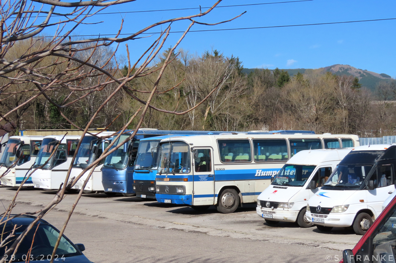Radomir, Mercedes-Benz O303 # РК 1407 ВА