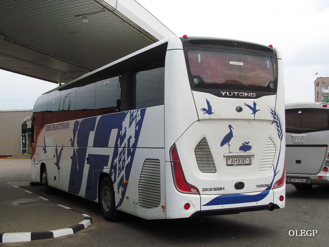 Gomel, Yutong C12PRO (ZK6128H) # 016251