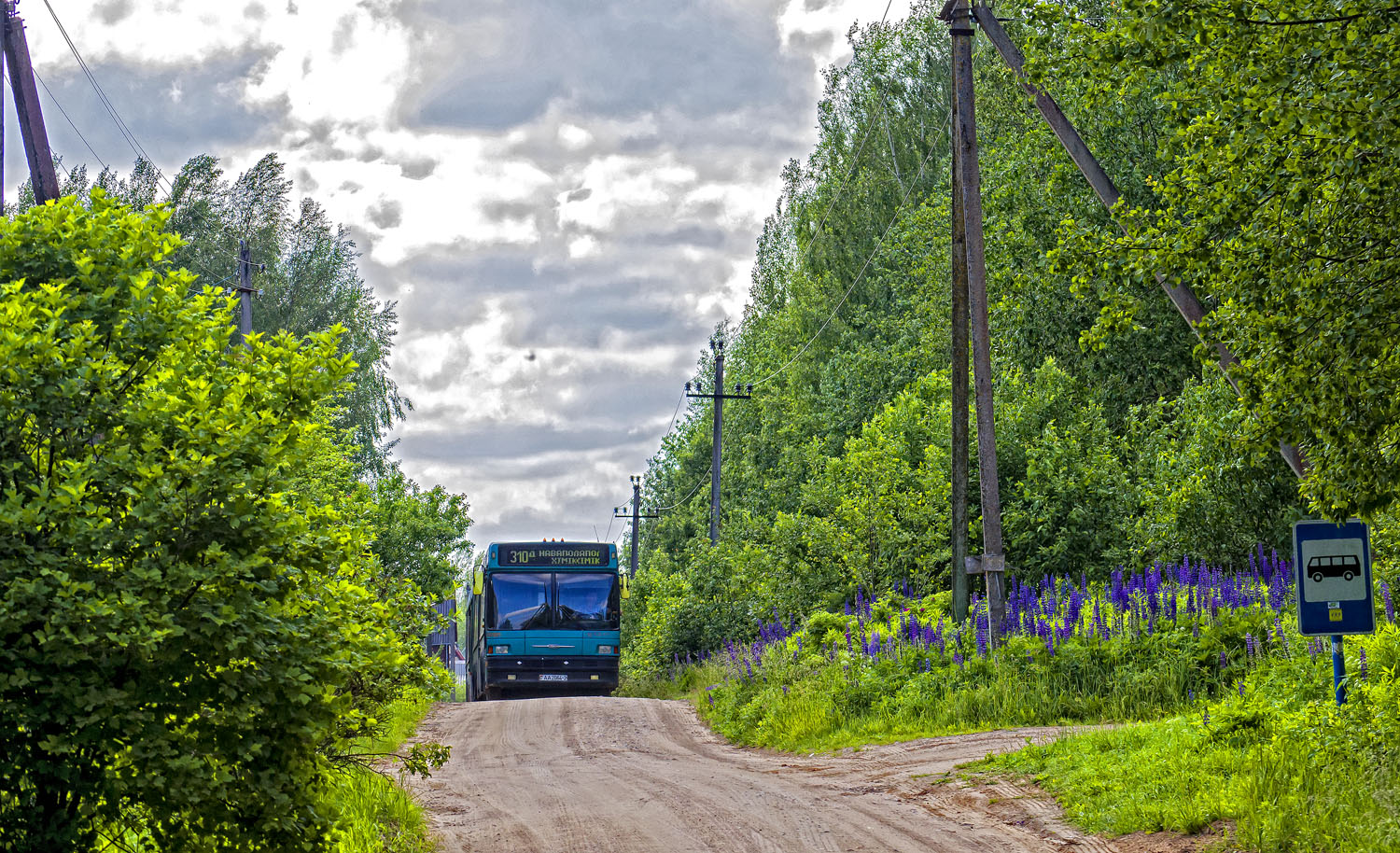 Novopolock — Miscellaneous photos