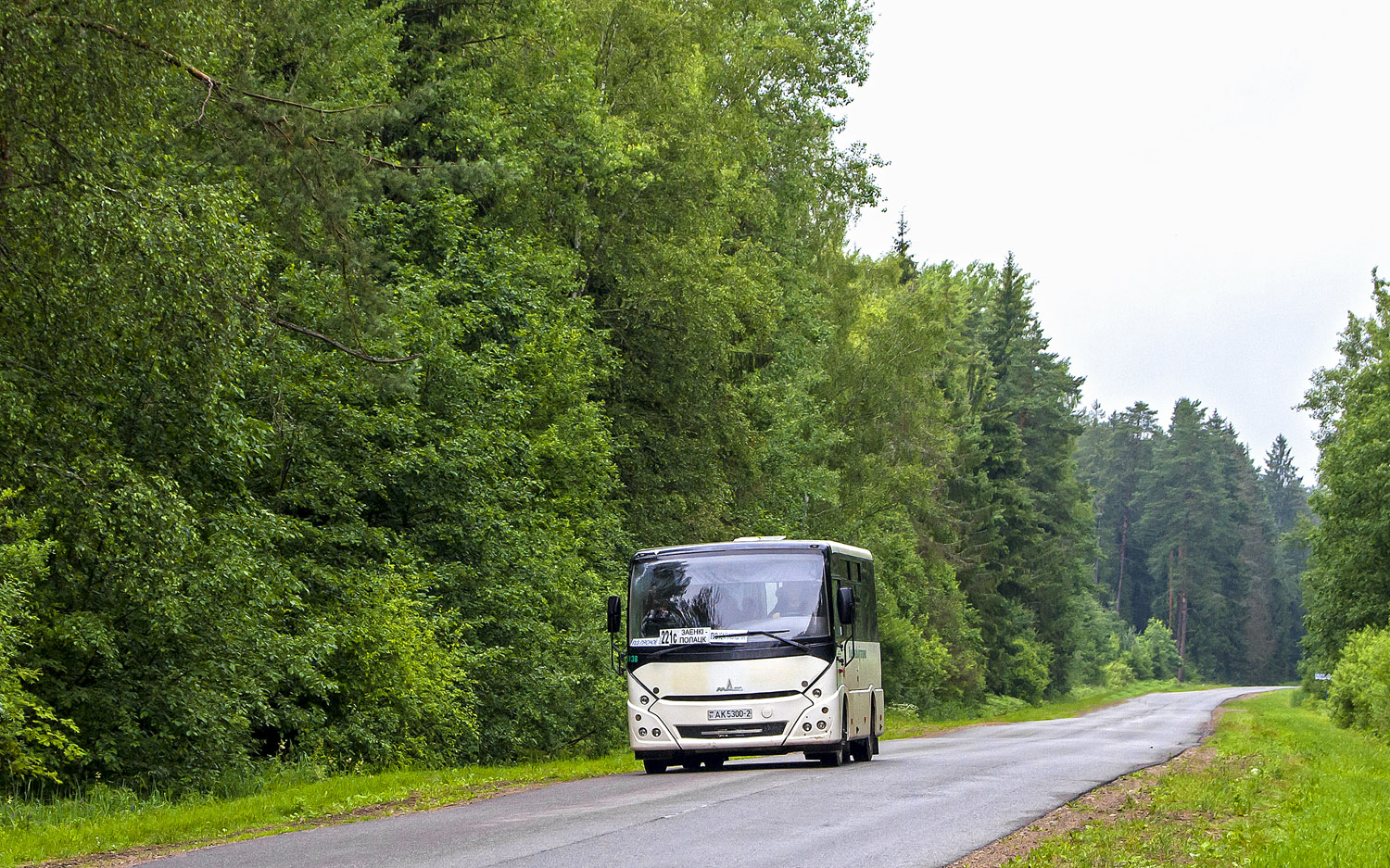 Polotsk, MAZ-241.000 # 010138