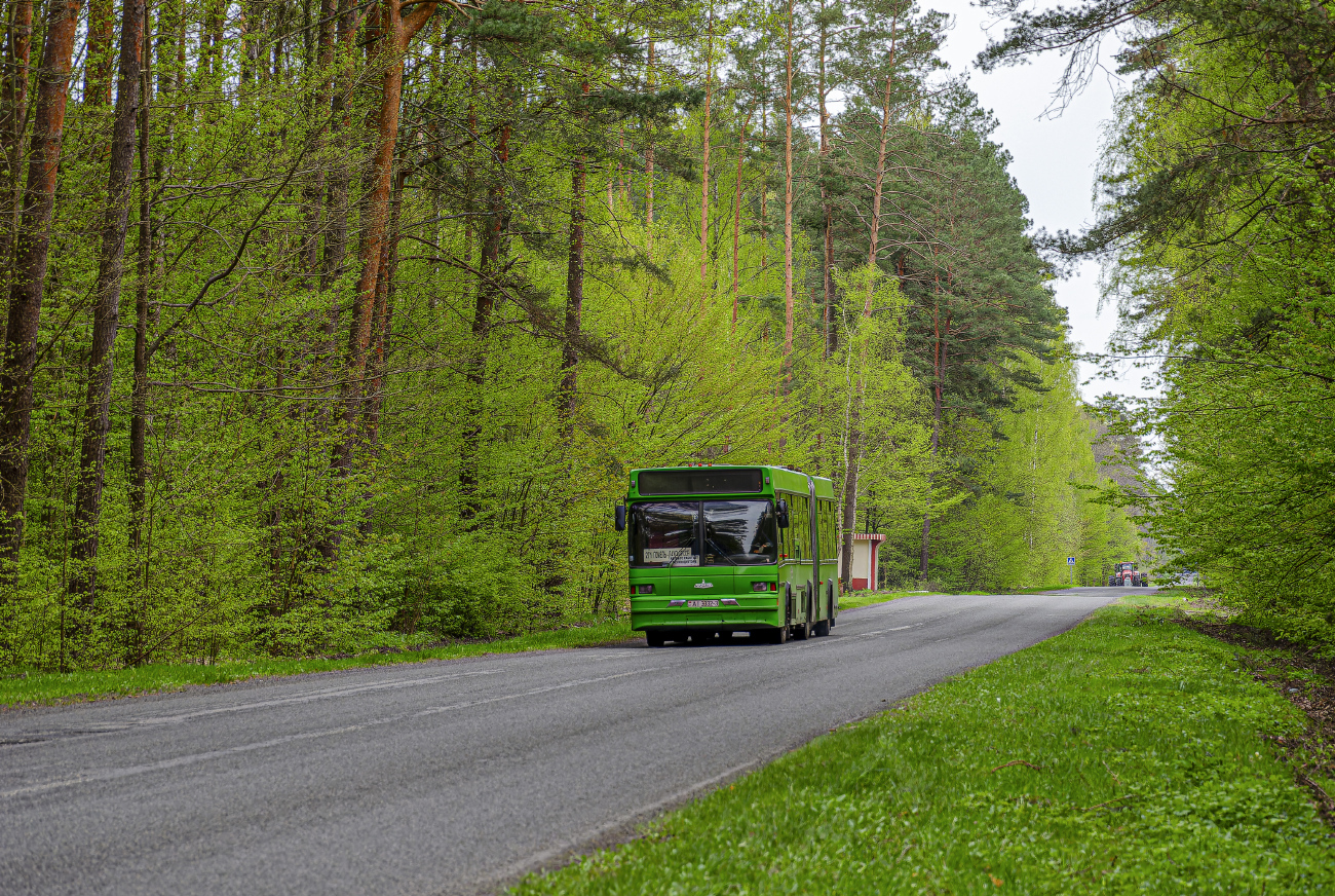 Gomel, MAZ-105.065 # 036072