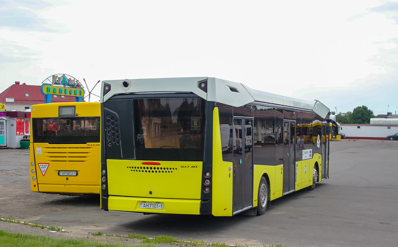 Baranovichi, MAZ-303.065 # 10250
