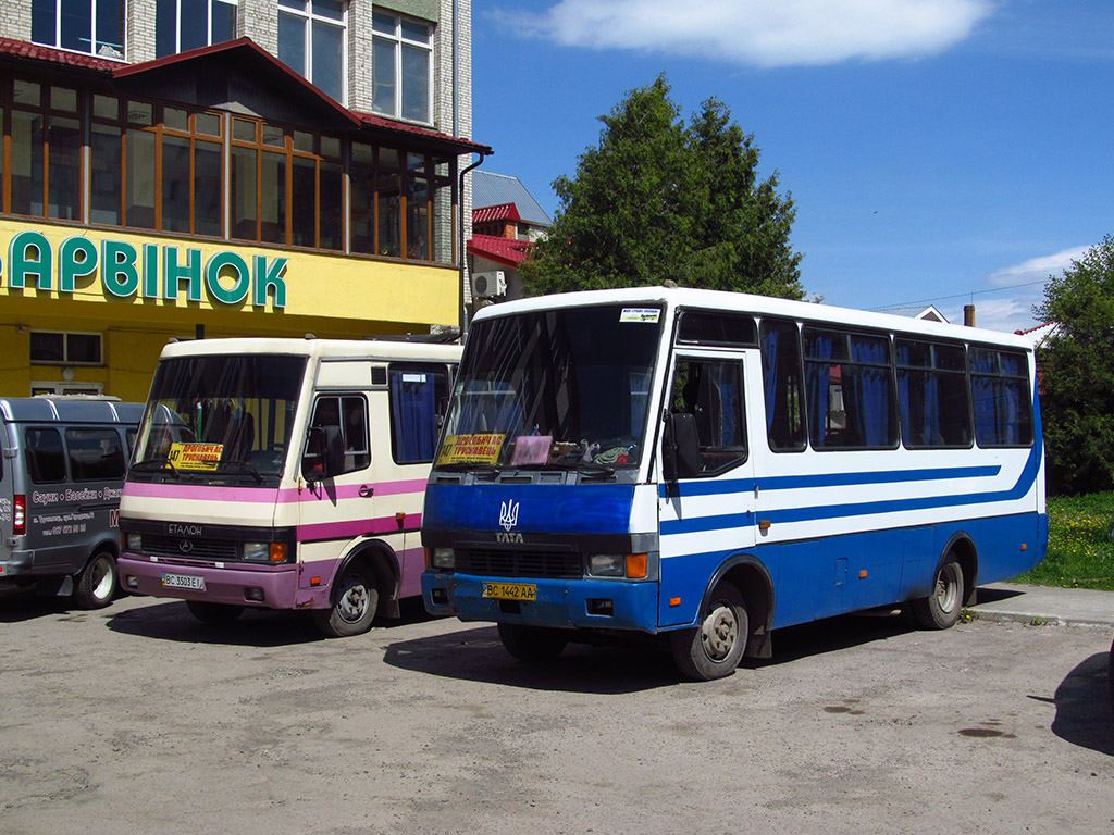 Drogobych, BAZ-А079.04 "Etalon" # ВС 1442 АА; Drogobych, BAZ-А079.19 "Malva" # ВС 3503 ЕІ