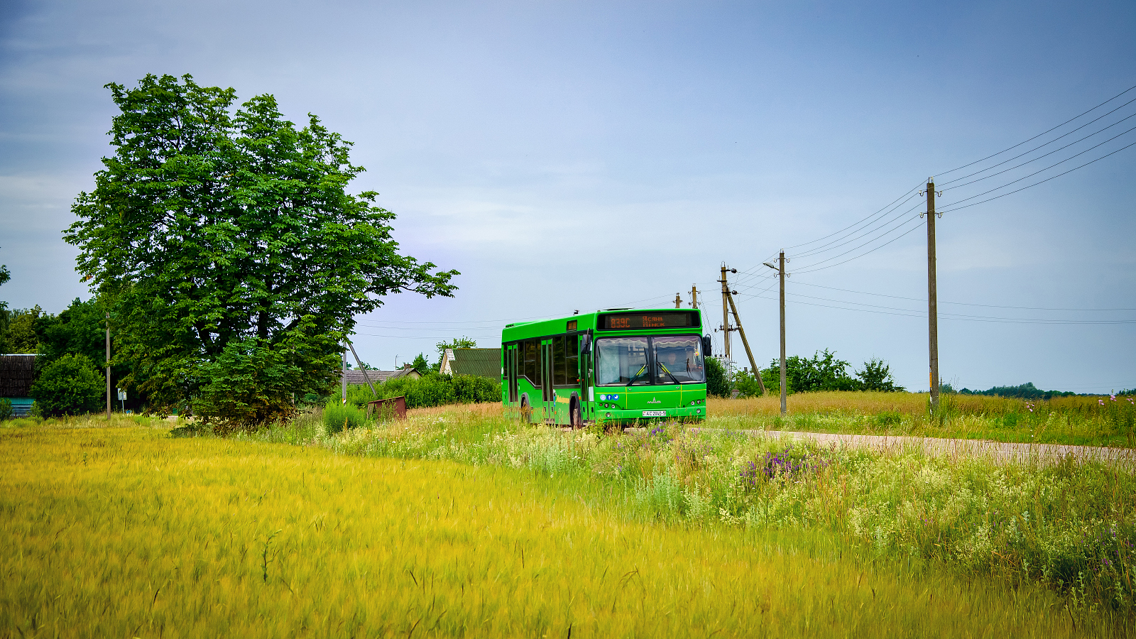 Sluck, MAZ-103.486 # АС 2040-5