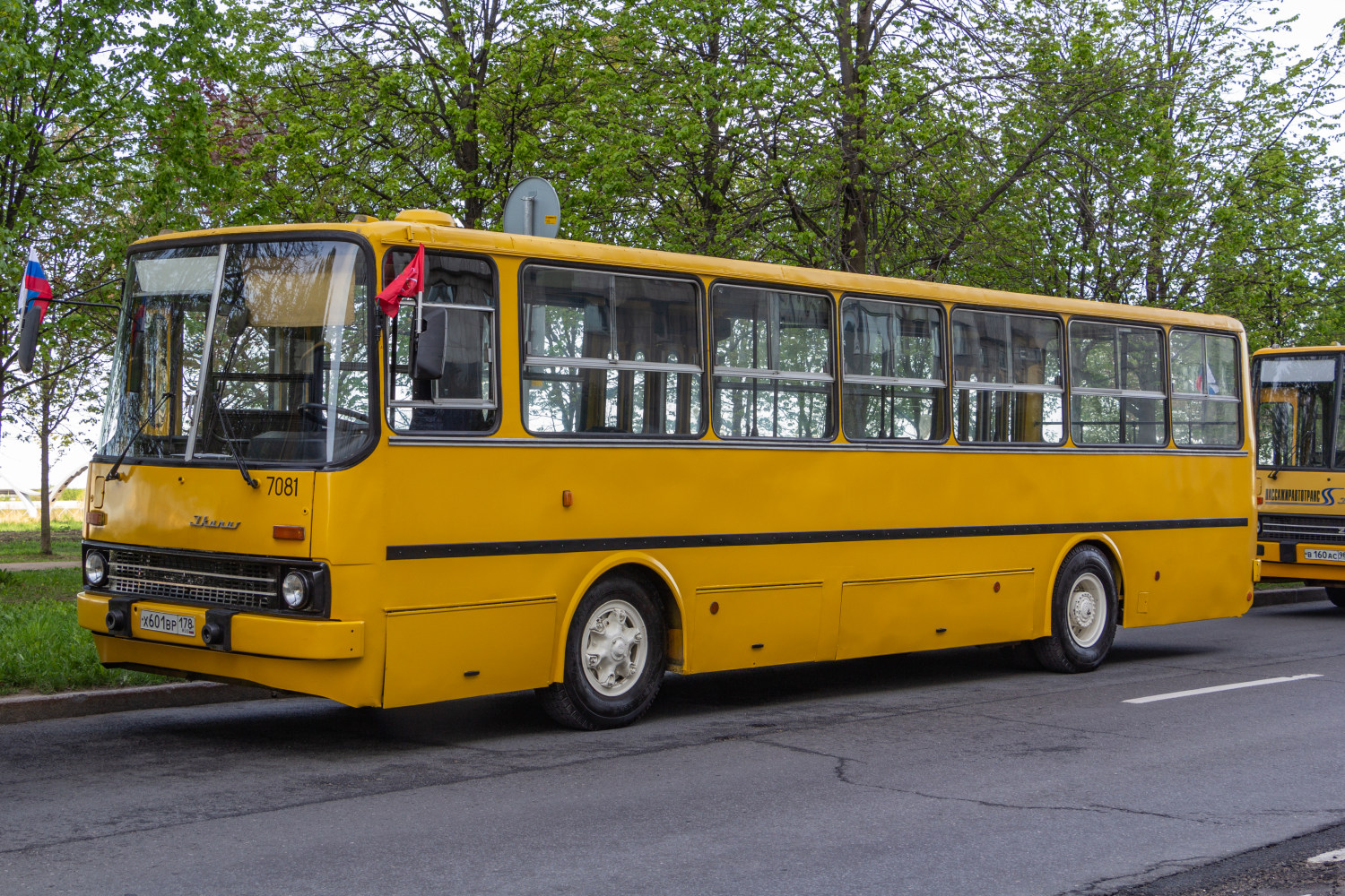 Saint Petersburg, Ikarus 260.37 # 7081; Saint Petersburg — IV International Transport Festival "SPbTransportFest-2023"