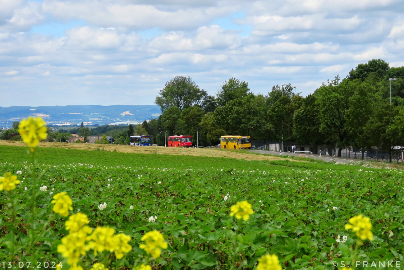 Mainz, Mercedes-Benz O307 # MZ-DB 37H; Mainz, Mercedes-Benz O307 # [DB 19-665]; Montabaur — 13.07.2024 — Abschiedsfahrt Rhein-Mosel-Verkehrsgesellschaft im Westerwaldkreis