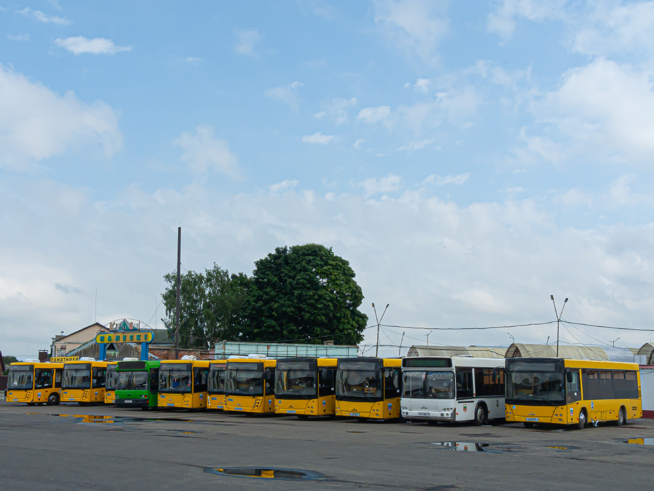 Baranovichi, MAZ-226.086 # 22000; Baranovichi — Miscellaneous photos