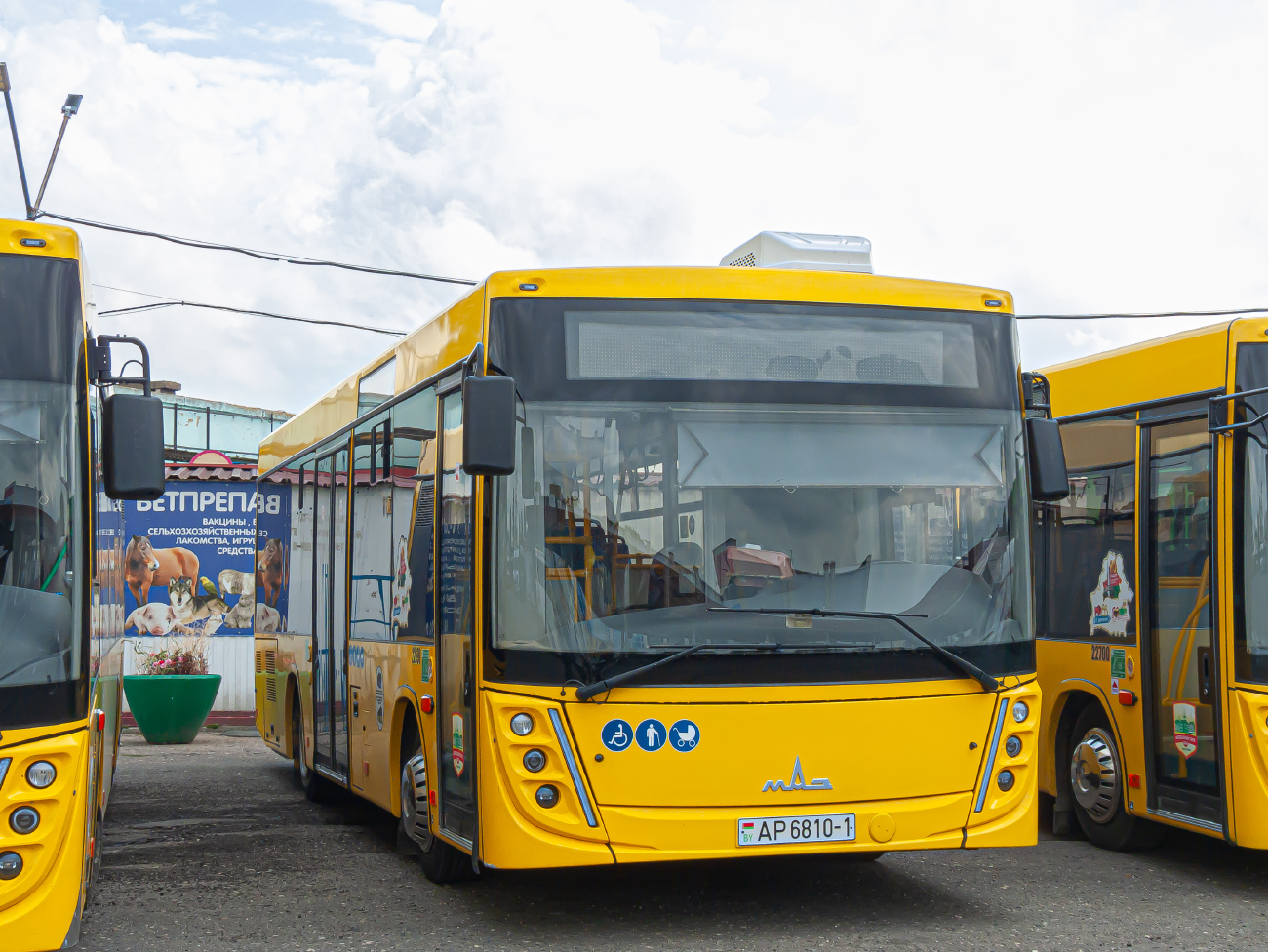 Baranovichi, MAZ-206.047 # 22680