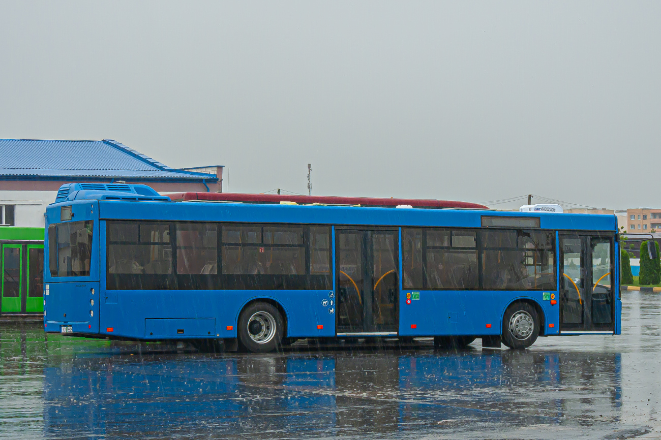 Kamianets, MAZ-203.147 # КА ВР 5525