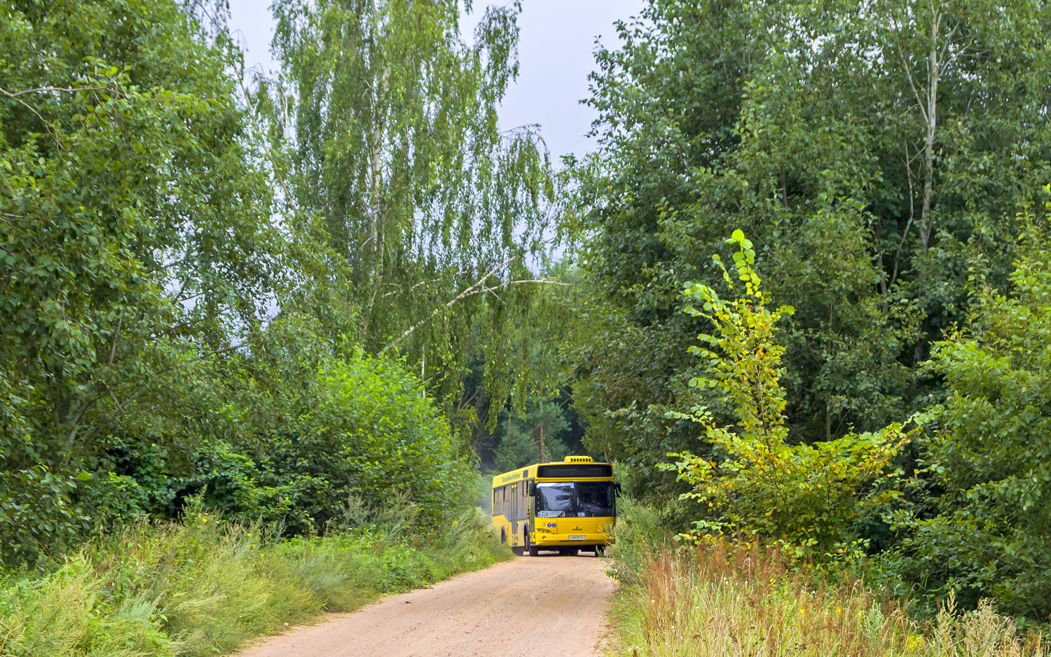 Polotsk — Miscellaneous photos