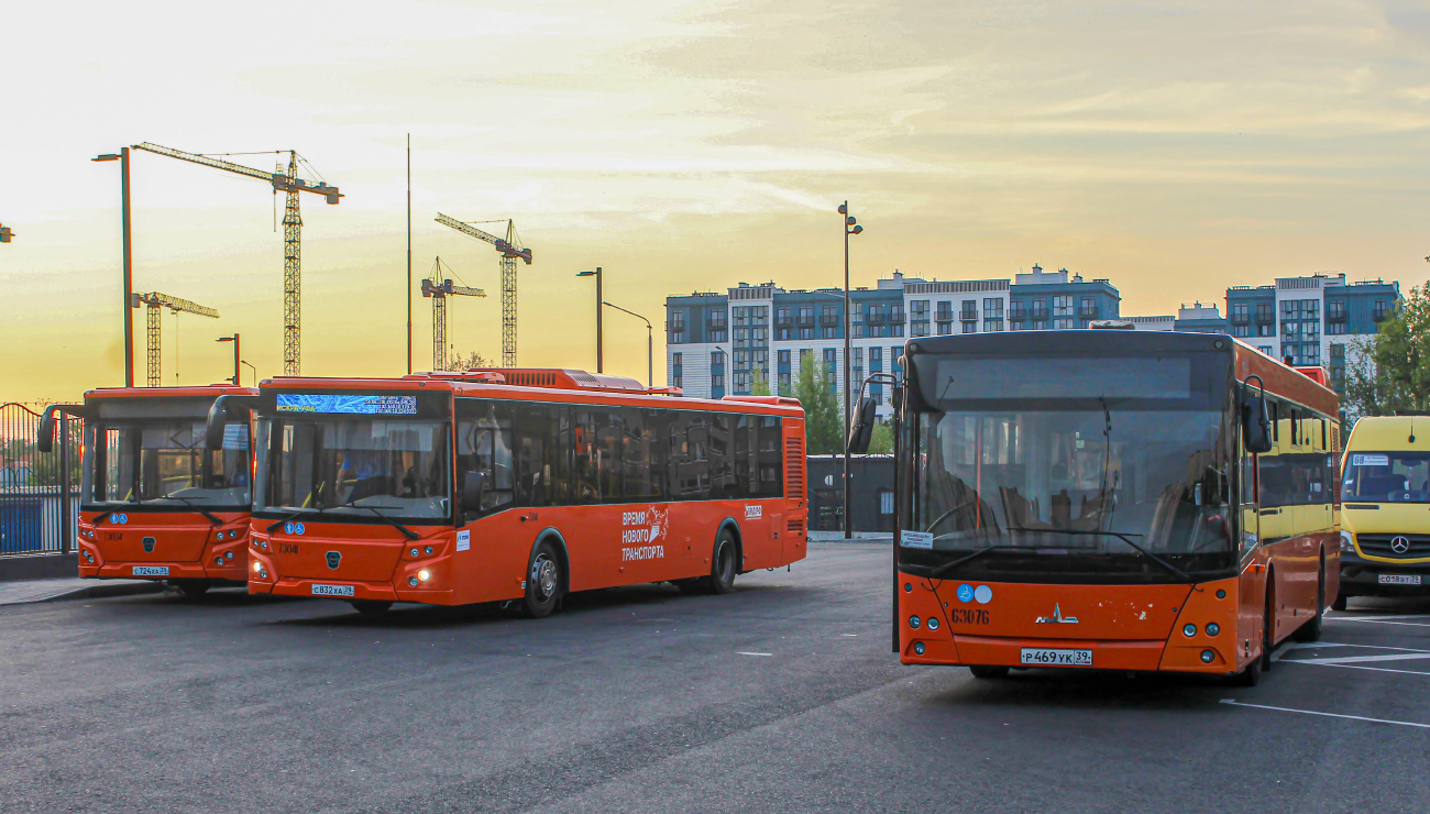 Kaliningrad, MAZ-203.085 # 63076