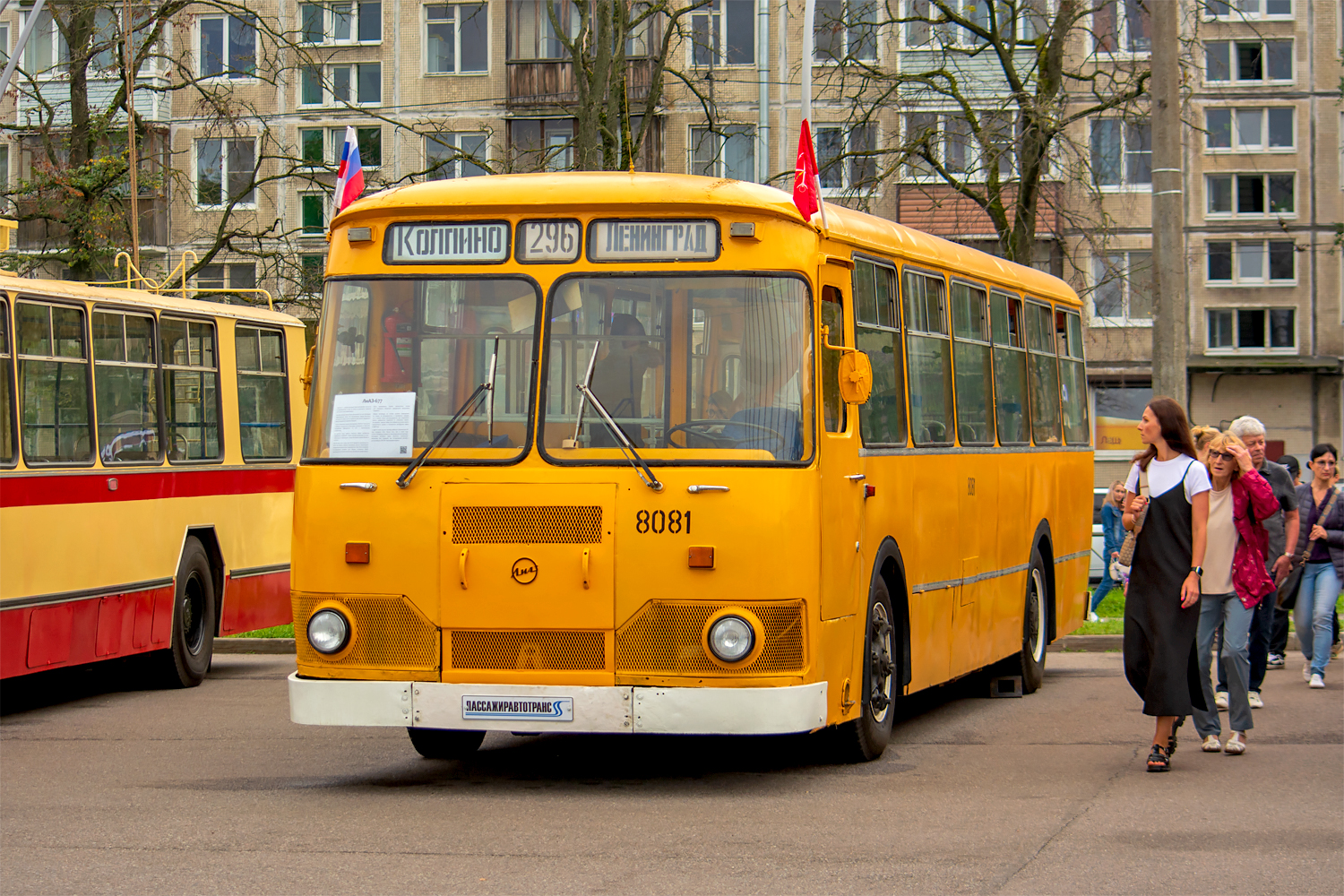 Saint Petersburg, LiAZ-677M # 8081; Saint Petersburg — "Transport Day" at the exhibition "My Petersburg" in the historical park "Russia is my history" (August 22, 2024)