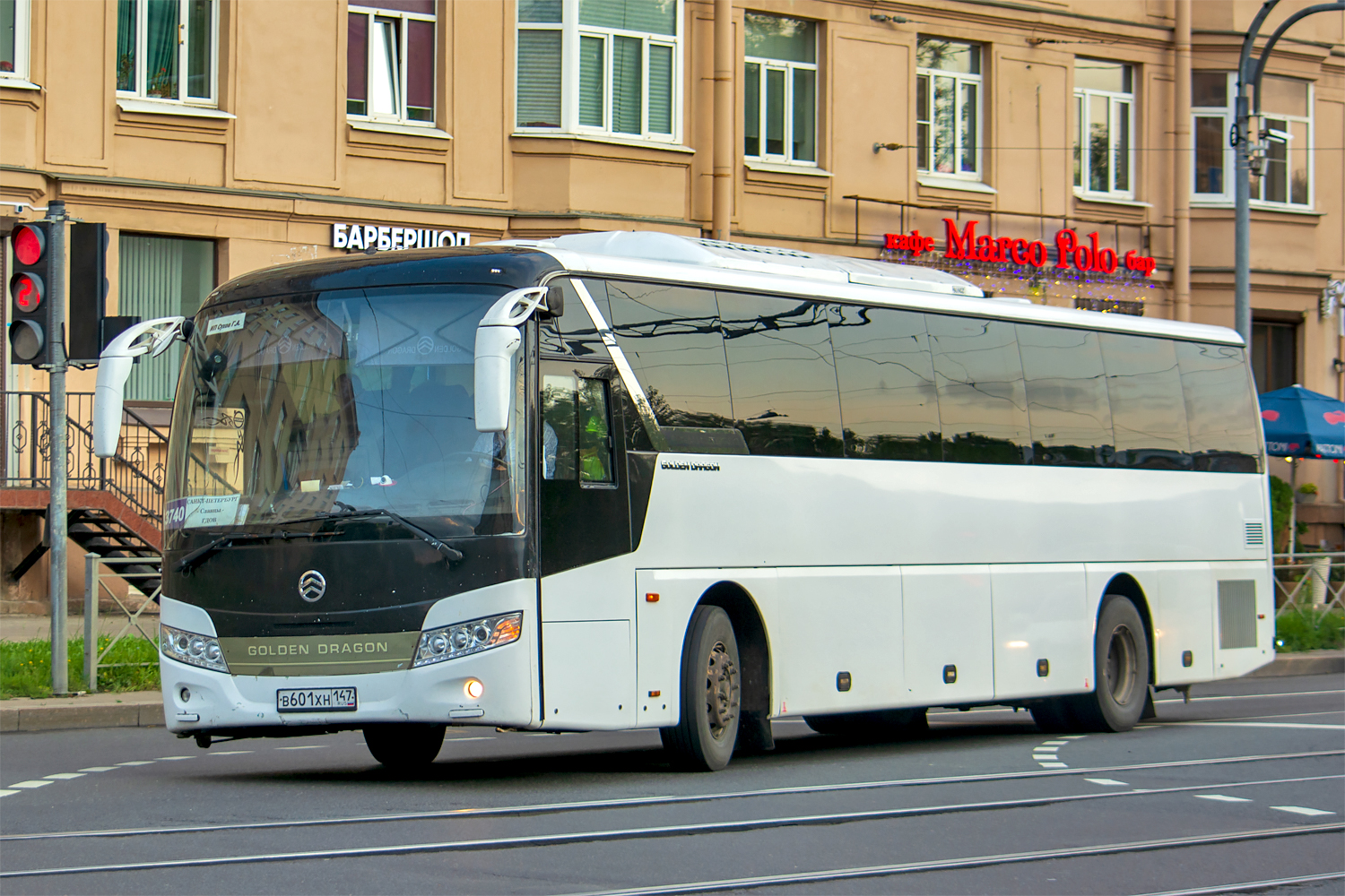 Slantsy, Golden Dragon XML6127JR Snow Leopard # В 601 ХН 147