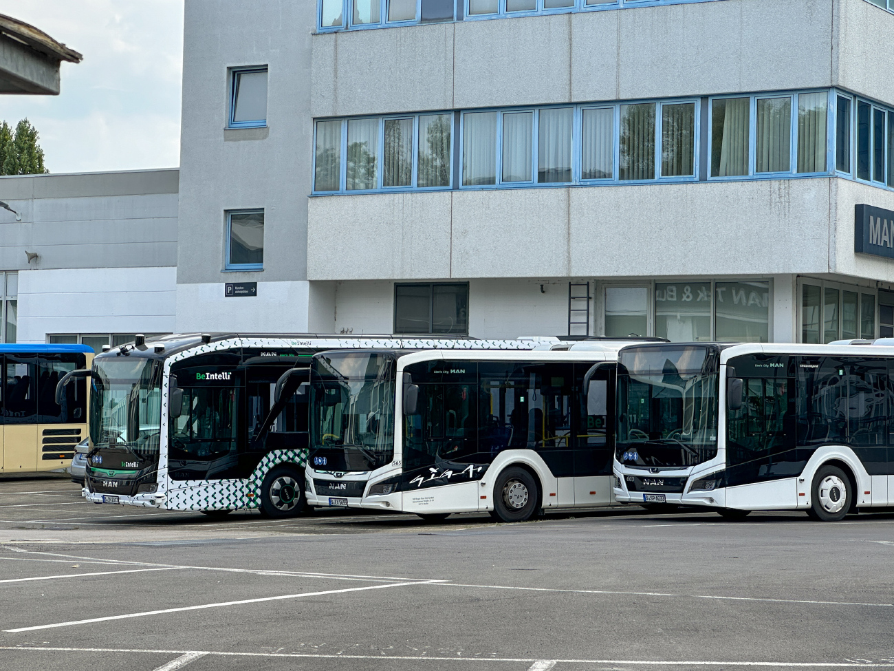 Berlin, MAN 12E Lion's City NL367 # B-IN 2023; Berlin, MAN 18C Lion's City NG360 EfficientHybrid # 565; Berlin, MAN 18C Lion's City NG360 EfficientHybrid # 603