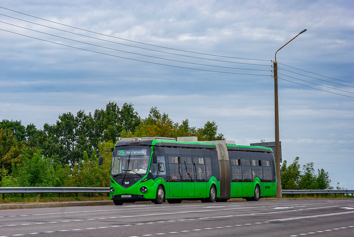 Gomel, BKM E433 # 26239