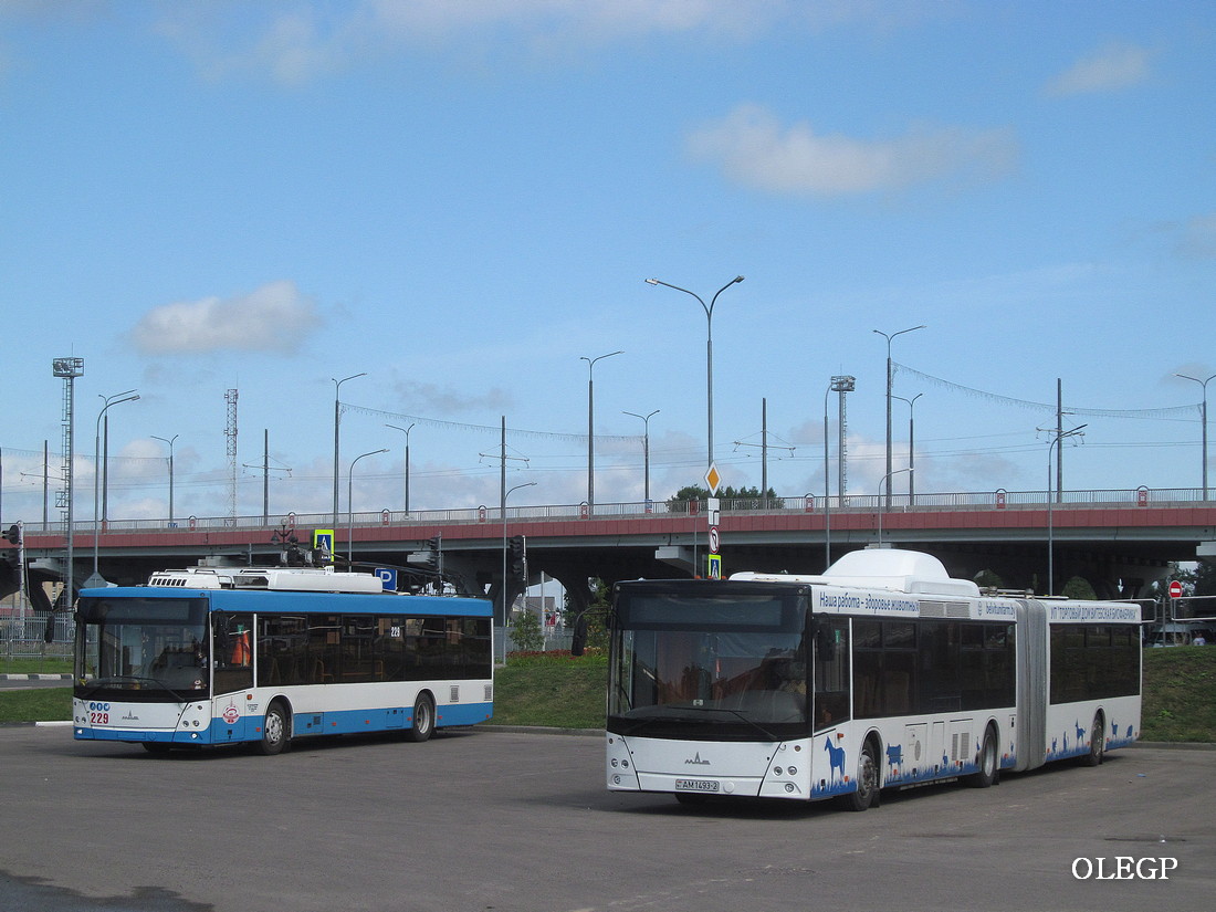 Vitebsk, MAZ-215.069 # АМ 1493-2; Vitebsk — Miscellaneous photos