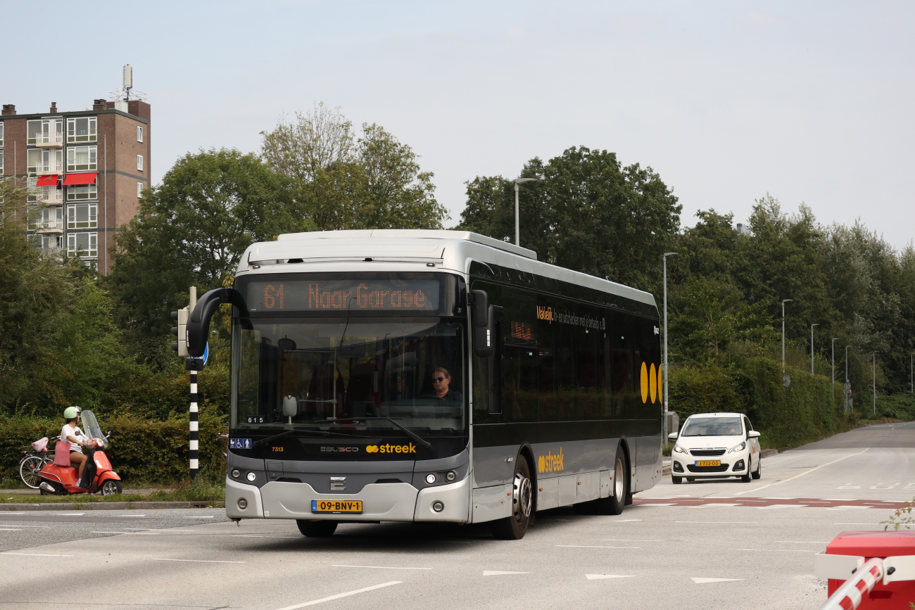 Groningen, Ebusco 2.2 12M LE # 7313