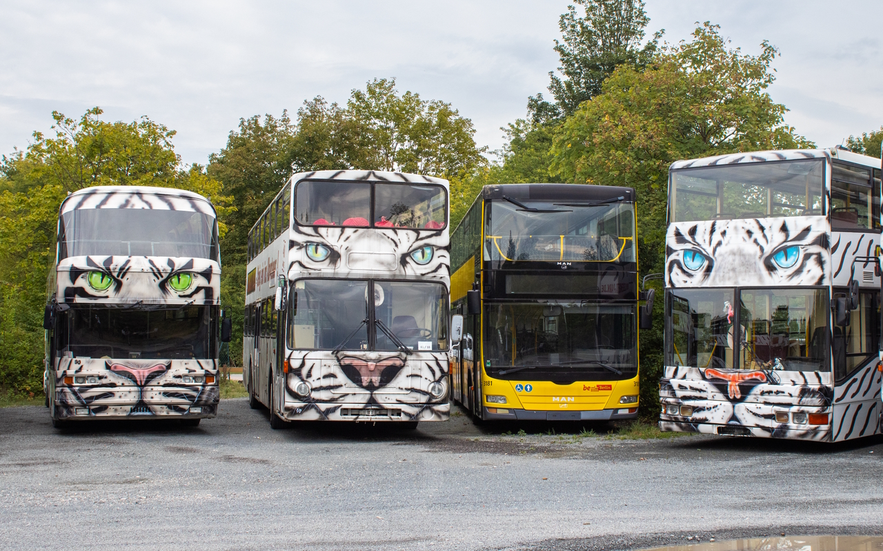 Bad Fallingbostel, Neoplan N122/3 Skyliner # 030; Bad Fallingbostel, MAN 196 SD200 # 010; Bad Fallingbostel, MAN A39 Lion's City DD ND313 # 3181; Bad Fallingbostel, MAN A14 ND202 # 025