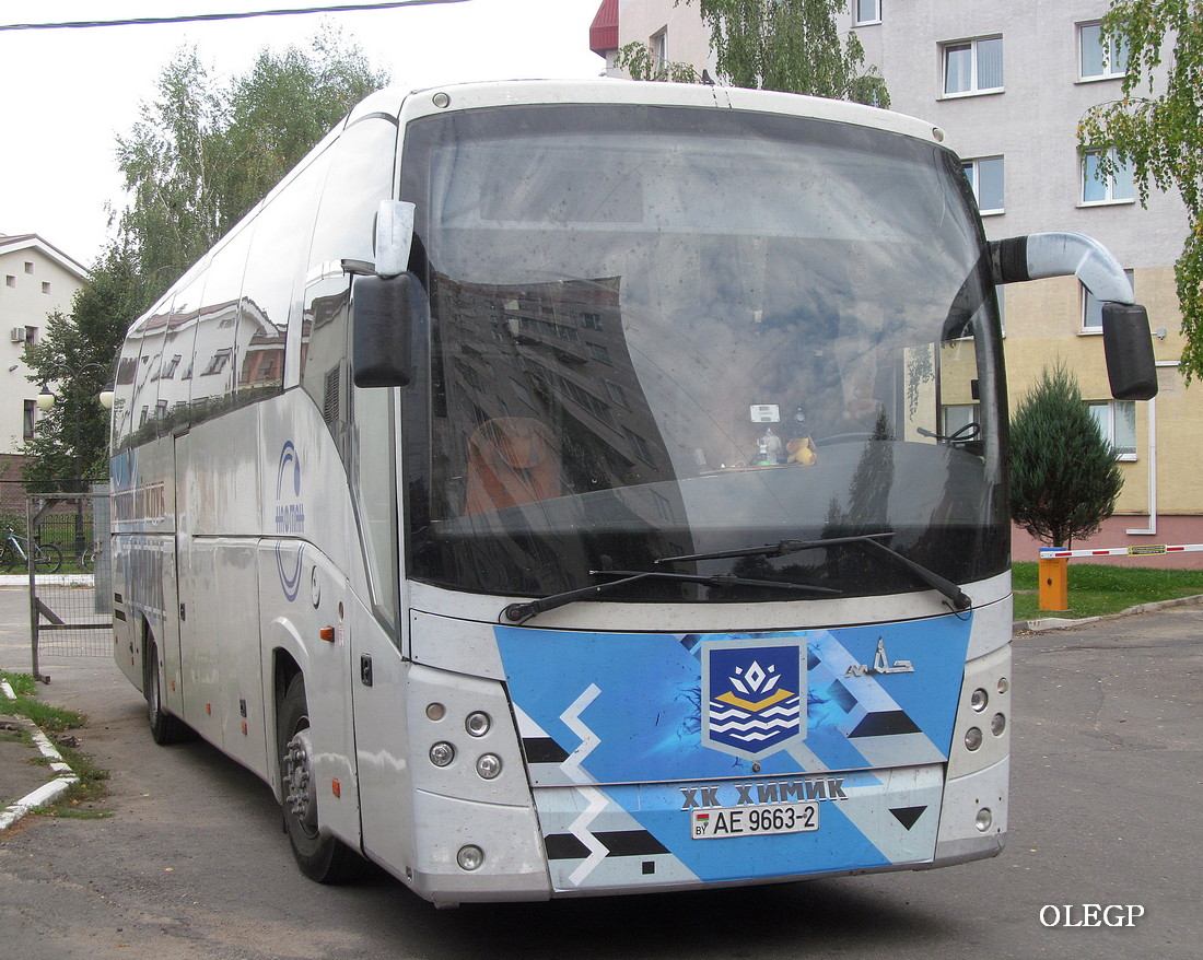 Novopolock, MAZ-251.050 # АЕ 9663-2