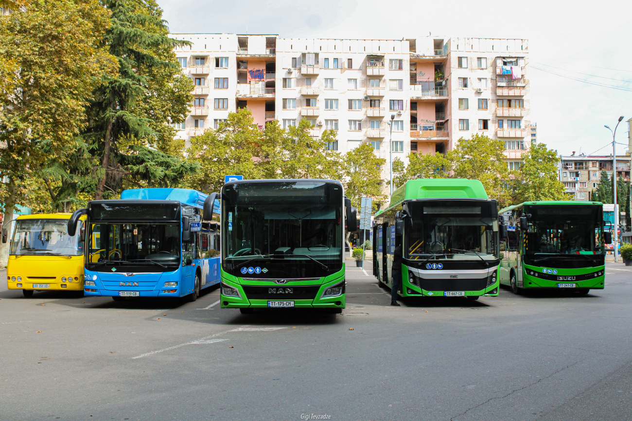 Tbilisi, Bogdan А09201 # DD-358-VD; Tbilisi, MAN A21 Lion's City NL313 CNG # TT-119-CB; Tbilisi, MAN 18G Lion's City NG320 # TT-175-CM; Tbilisi, BMC Procity II 12 CNG # TT-667-CB; Tbilisi, Anadolu Isuzu NovoCiti Life # TT-241-CB; Tbilisi — Miscellaneous photos