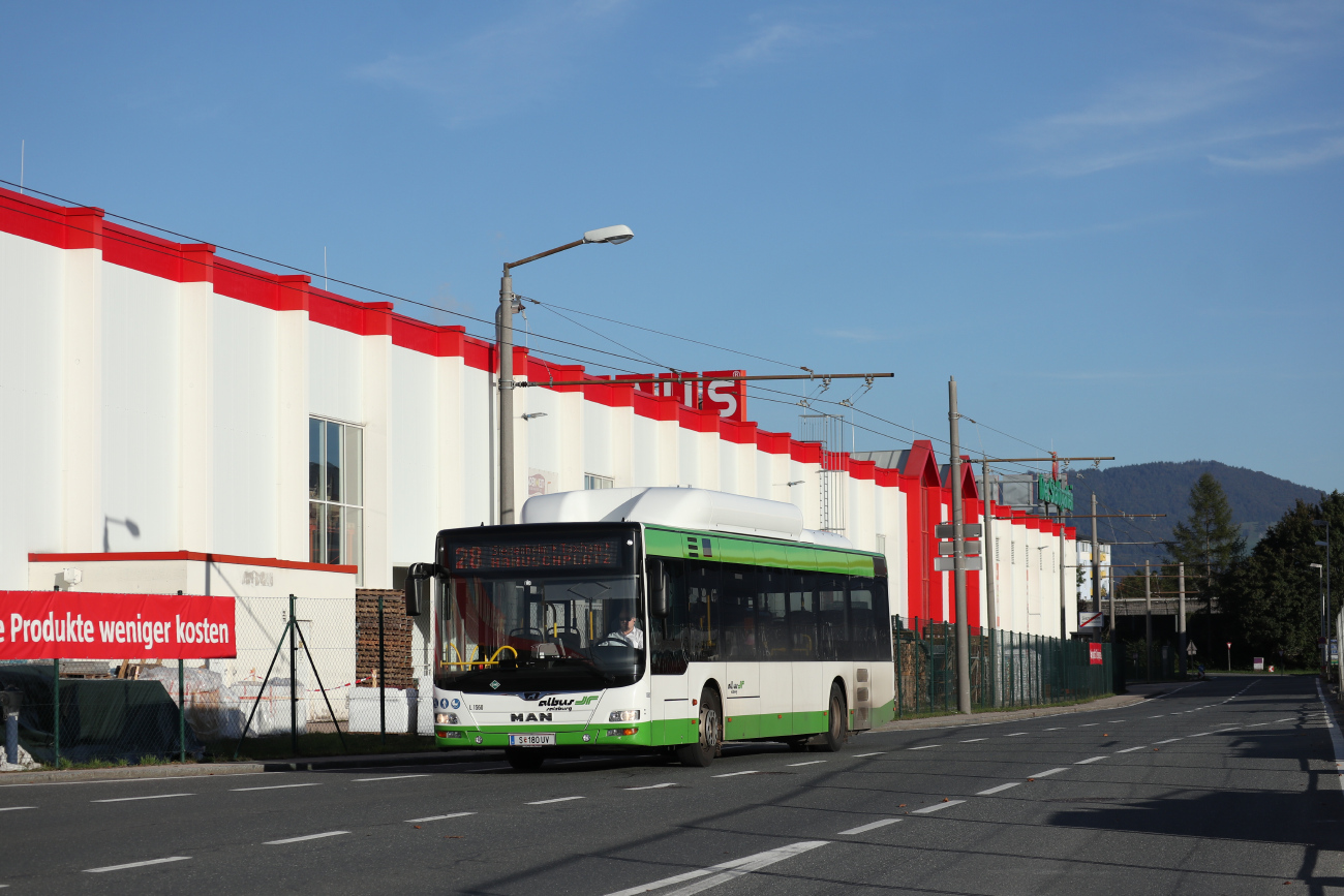 Salzburg, MAN A21 Lion's City NL313 CNG # L1560