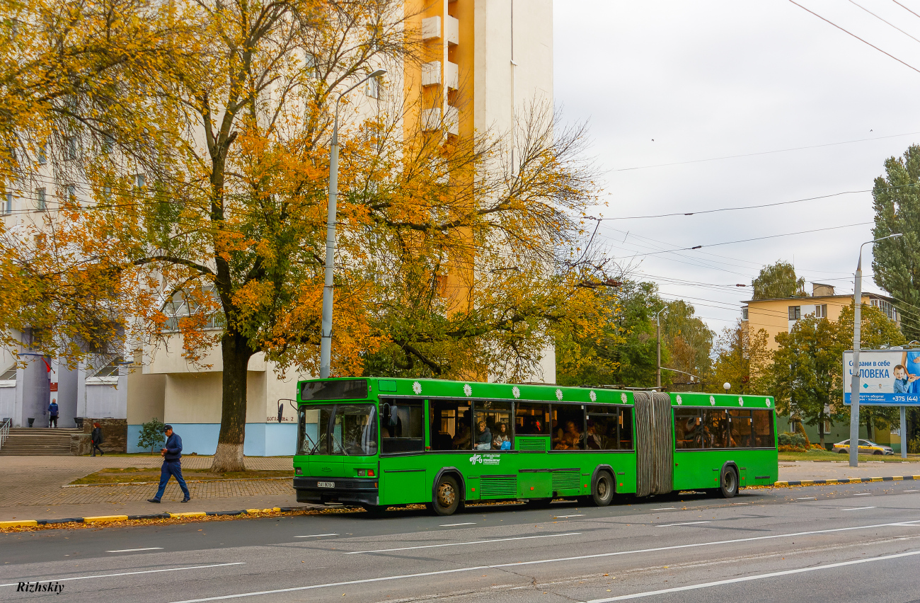 Gomel, MAZ-105.060 # 11584