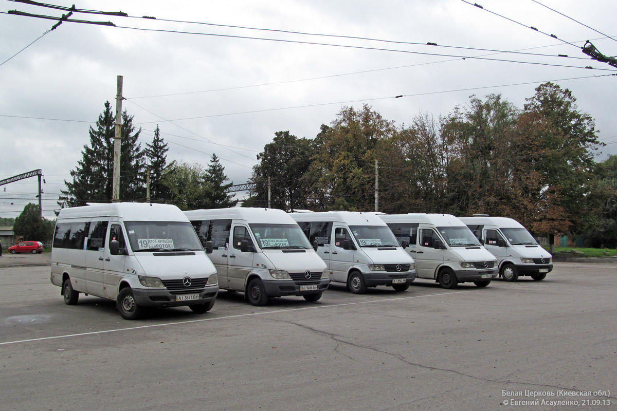 Bilya Tserkva, Mercedes-Benz Sprinter 313CDI # АІ 3673 ВХ; Bilya Tserkva, Mercedes-Benz Sprinter 311CDI # АІ 1488 АК; Bilya Tserkva — Miscellaneous photos