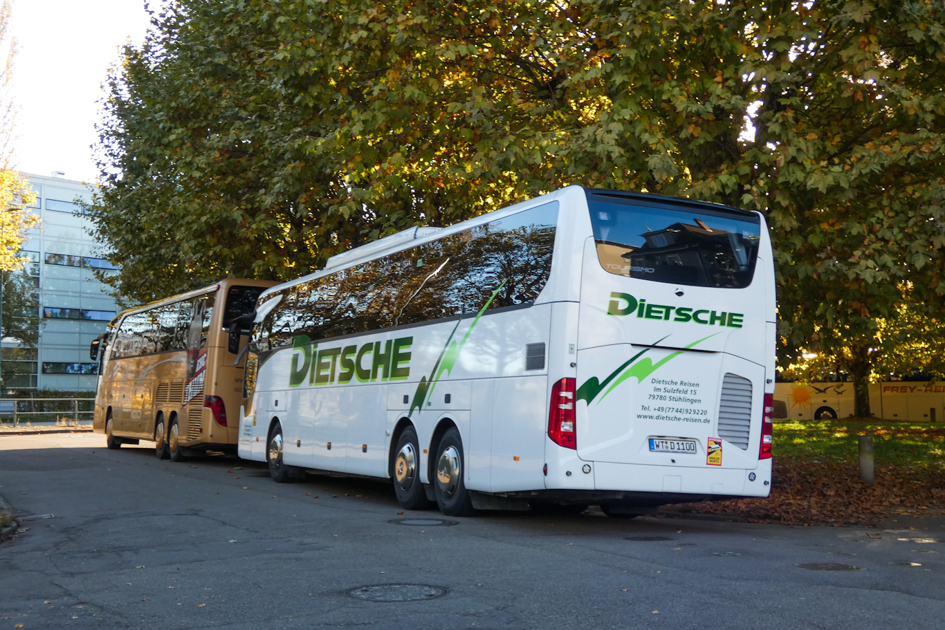 Waldshut, Mercedes-Benz Tourismo III 16RHD M/3 # WT-D 1100; Offenburg — Busse zur Chrysanthema Lahr