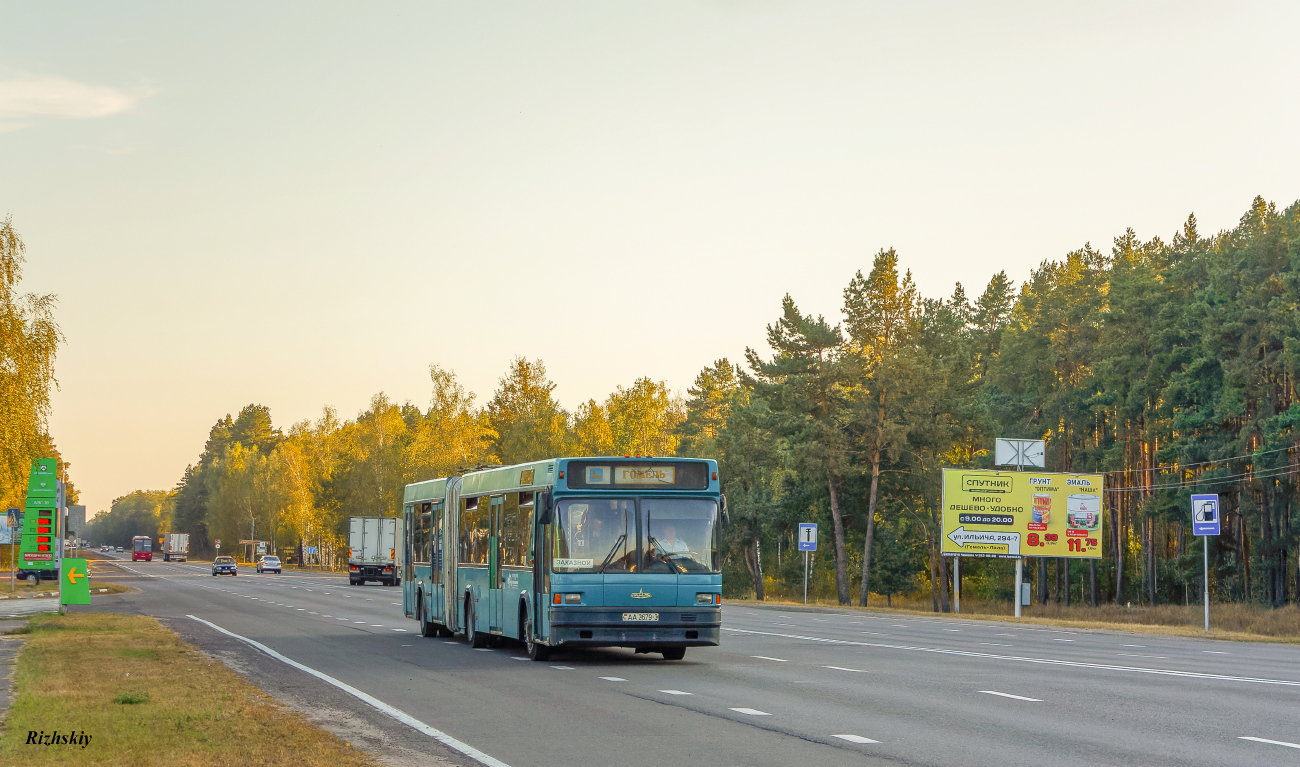 Gomel, MAZ-105.060 # 11614