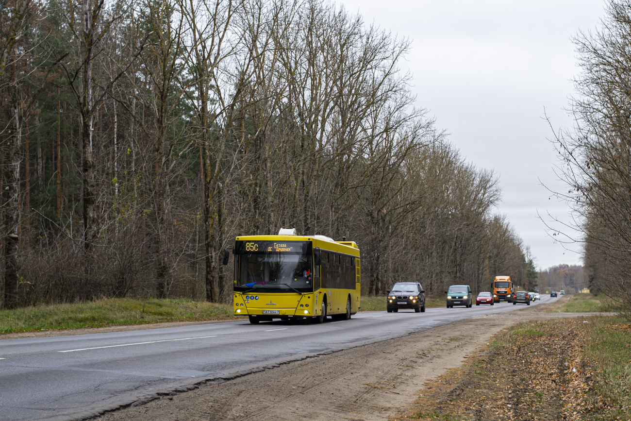 Minsk, MAZ-203.015 # 043338